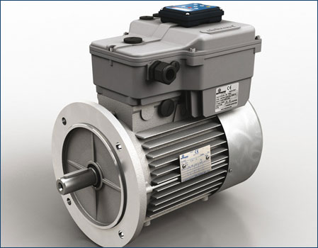 Motovario Drivon, Electric motors, Motors with built-in frequency inverter